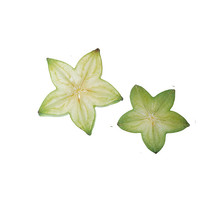 Ļ