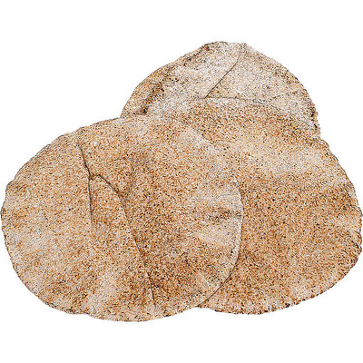 美味的饼干 美味的饼干