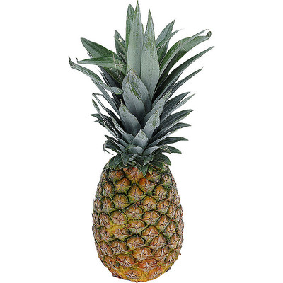 ��ζ�Ĳ��� PNG