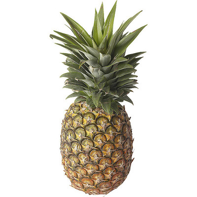 ��ζ�Ĳ��� PNG