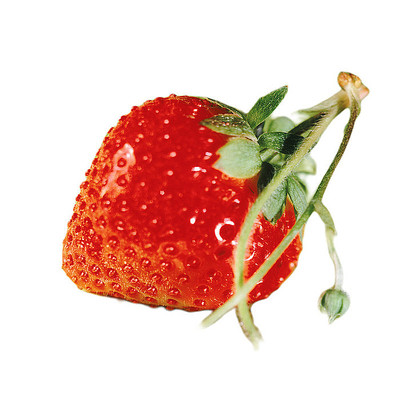 ��ζ�Ĳ�ݮ PNG