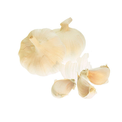 ��ζ�Ĵ��� PNG