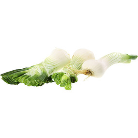 ζĴ