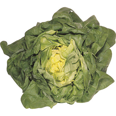 ��ζ�ĸ��� PNG