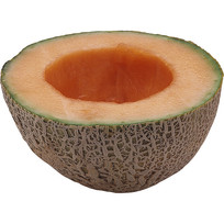 ζĹܹ