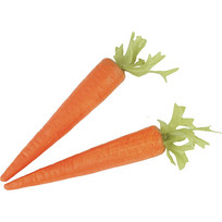 ζĺܲ