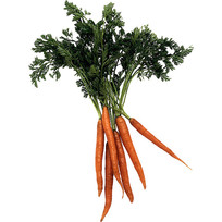 ζĺܲ