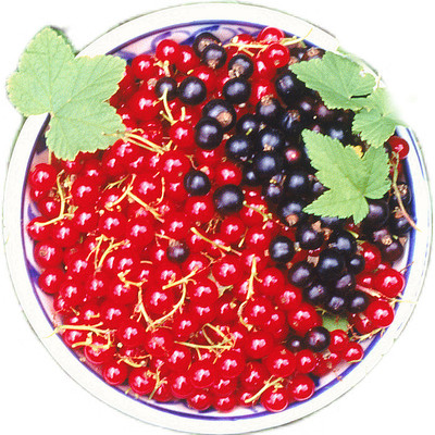 ��ζ�Ľ��� PNG