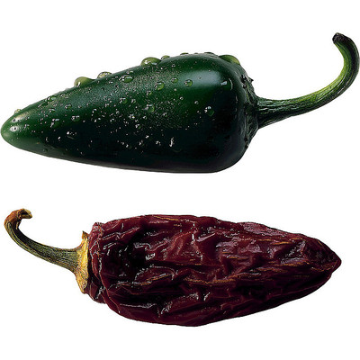 ��ζ������ PNG