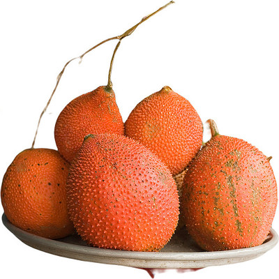 ��ζ����֦ PNG