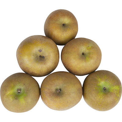 ��ζ������ PNG