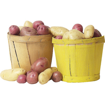 美味的马铃薯 美味的马铃薯