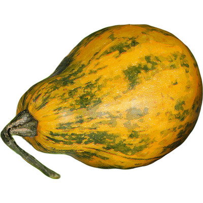 ��ζ���Ϲ� PNG