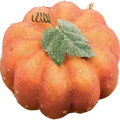 美味的南瓜 美味的南瓜