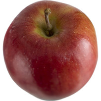 ζƻ