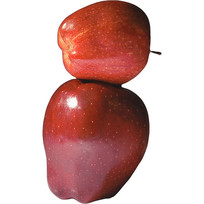 ζƻ