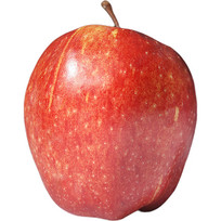 ζƻ