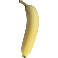 ζ㽶
