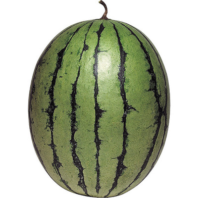 ��ζ������ PNG