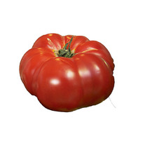 ζ