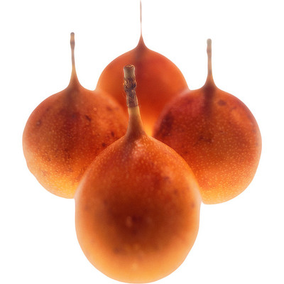 美味的洋葱 美味的洋葱