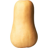 Ϲ