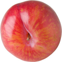 ƻ