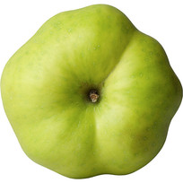 ƻͼ