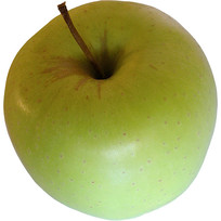 ƻ