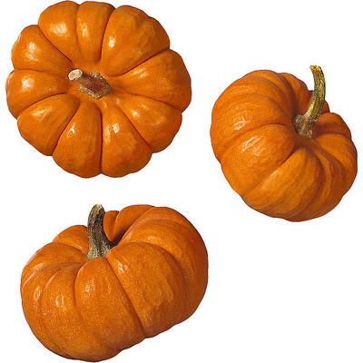 �����Ϲ�