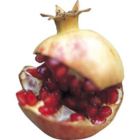 ʯ
