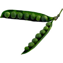 ˺Ķ