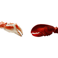 зǯ