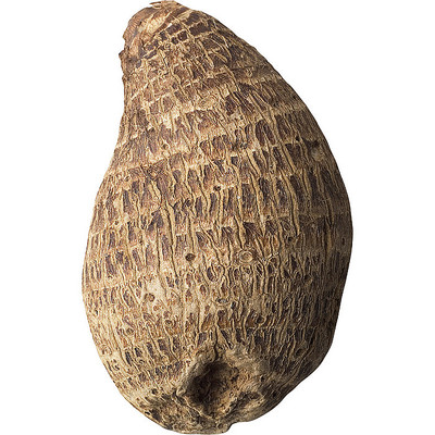 һ������