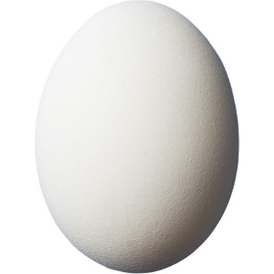 һ������ PNG