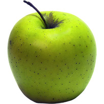 һƻ