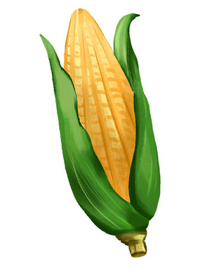 ʳĽɫҶװ