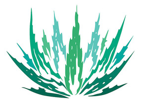 ֲֻ