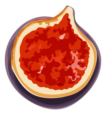 无花果高清png免抠元素 PNG