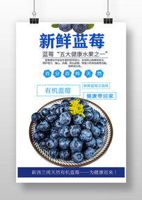 ��ݮˮ������