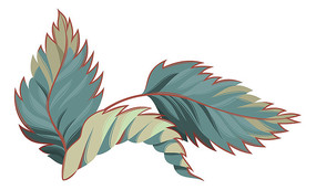 ֲ��Ҷ��չʾԪ��