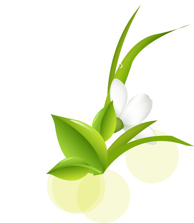 原创植物花朵元素 原创植物花朵元素