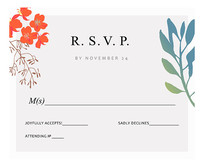 ������뺯