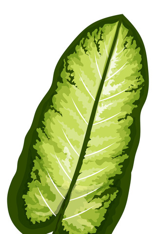 卡通立体的绿叶PNG免抠元素 卡通立体的绿叶PNG免抠元素