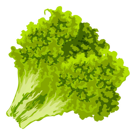 һ������