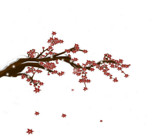 ����ŷ翨ͨ÷�� PNG