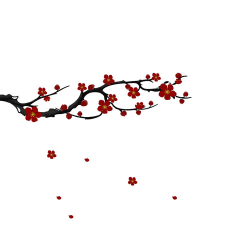 ����ŷ翨ͨ÷���ز� PNG