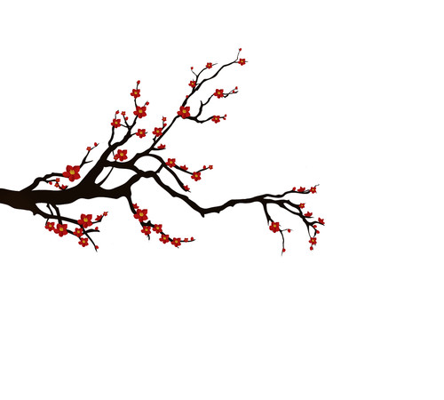 ���������ͨ÷���ز� PNG