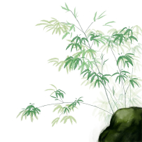 ˮīľ