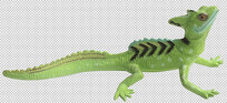 ģ